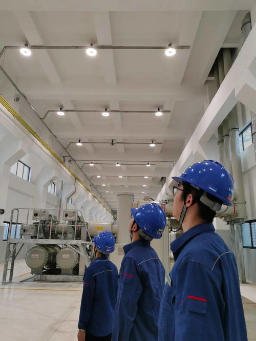 快來(lái)圍觀,三峽人的低碳style